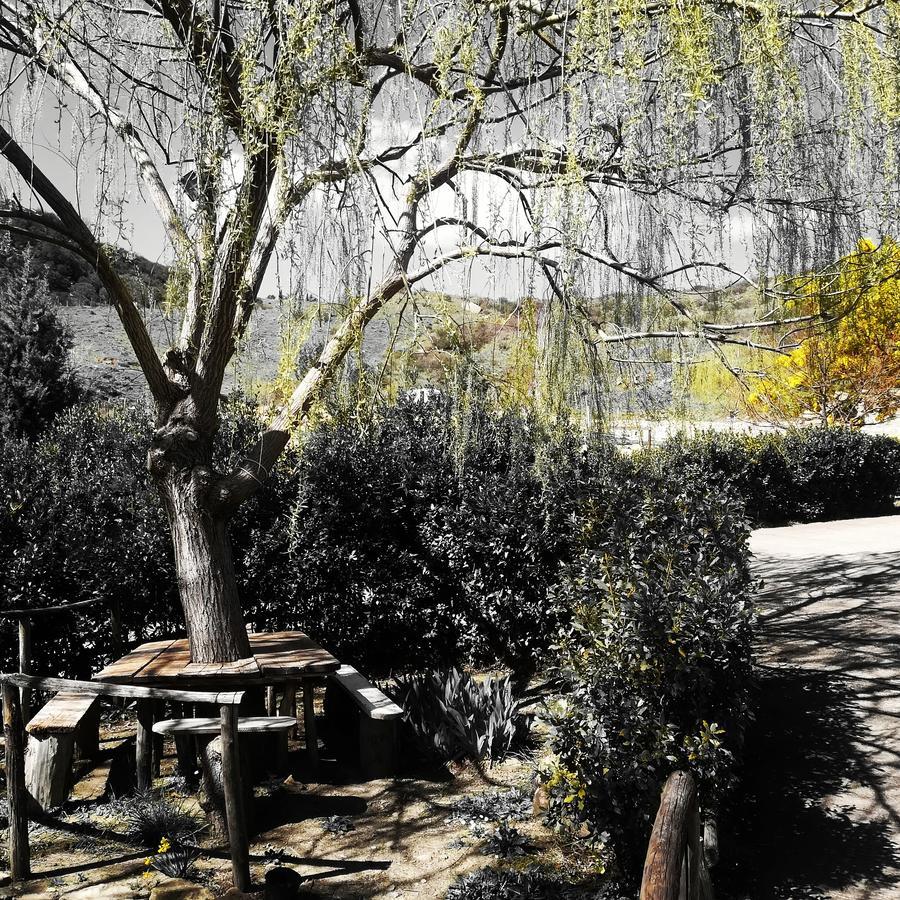 Turismo Rurale Leanza Konuk evi Cesarò Dış mekan fotoğraf